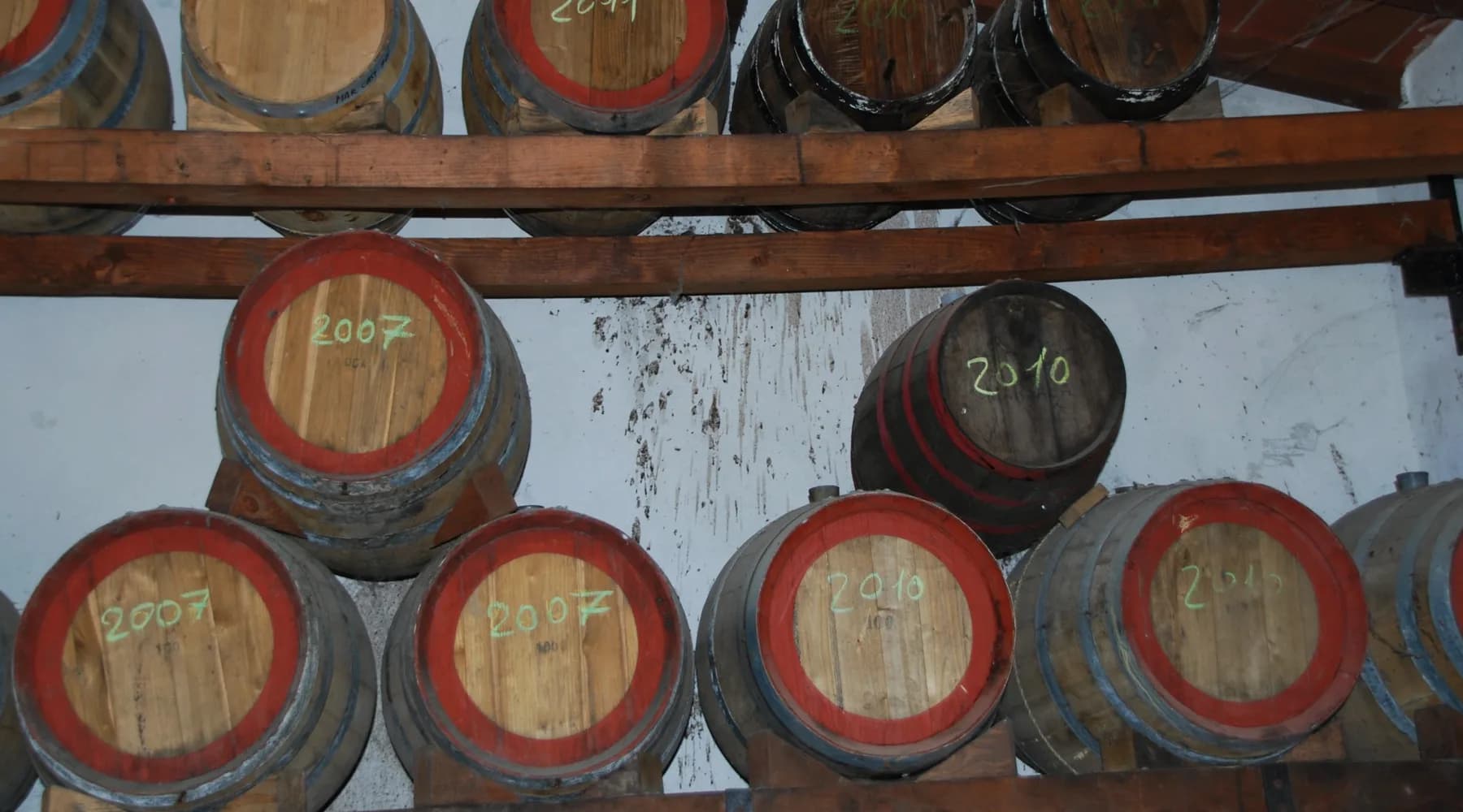 Wijngaard van Cantine Monfort